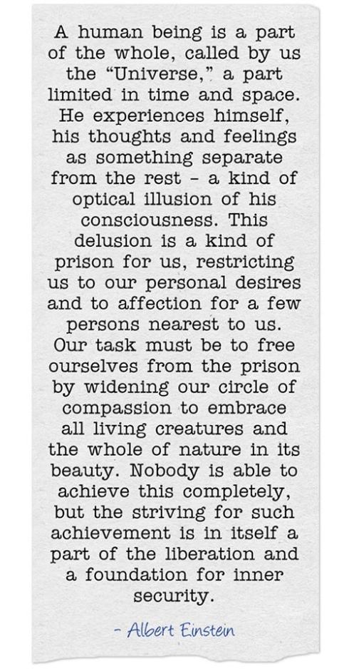 44940569_611514625931124_3054921993246736384_n