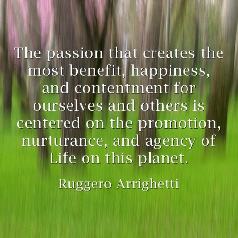 The-passion-that-creates