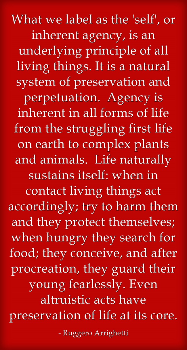 What-we-label-as-the